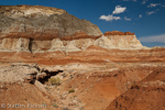 Rimrocks, Hoodoos, Grand Staircase-Escalante NM, GSENM, Utah, USA 17