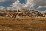 Rimrocks, Hoodoos, Grand Staircase-Escalante NM, GSENM, Utah, USA 28