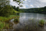 0239 Schottland, Highlands, The Trossachs, Loch Ard