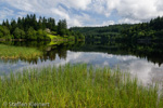 0244 Schottland, Highlands, The Trossachs, Loch Ard