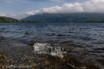 0321 Schottland, Highlands, Loch Lomond