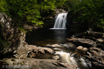 0342 Schottland, Highlands, Falls of Falloch