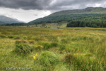 0389 Schottland, Highlands bei Bridge of Orchy