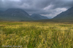 0418 Schottland, Highlands, Glen Coe