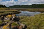 0514 Schottland, Highlands, Loch Feochan im Westen