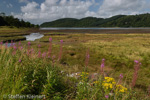 0516 Schottland, Highlands, Loch Feochan im Westen