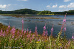 0526 Schottland, Highlands, Loch Feochan im Westen