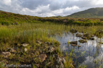 0567 Schottland, Highlands, Lochan an h-Achlaise