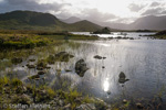 0569 Schottland, Highlands, Lochan an h-Achlaise