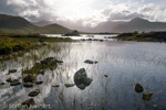 0573 Schottland, Highlands, Lochan an h-Achlaise