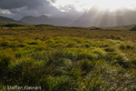 0588 Schottland, Highlands, Lochan an h-Achlaise