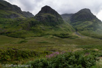 0598 Schottland, Highlands, Glen Coe