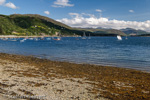 0806 Schottland, Highlands, Loch Broom, Ullapool