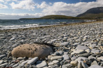 0819 Schottland, Highlands, Loch Canaird bei Ullapool