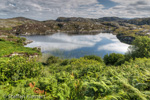 0842 Schottland, Highlands, Maiden Loch, Assynt