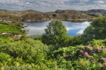 0854 Schottland, Highlands, Maiden Loch, Assynt