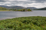 0928 Schottland, Highlands, Ardvreck Castle, Loch Assynt