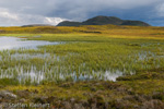 1883 Schottland, Loch Craggie, Highlands