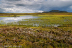 1887 Schottland, Loch Craggie, Highlands