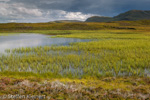 1890 Schottland, Loch Craggie, Highlands