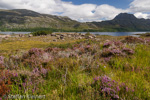 2095 Schottland, Loch Maree, Highlands