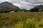 2115 Schottland, Loch Clair, Highlands im Westen