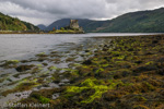 2134 Schottland, Eilean Donan Castle, Loch Duich