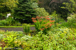 2179 Schottland, Skye, Dunvegan Castle, Gartenanlage