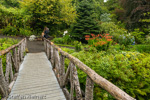 2180 Schottland, Skye, Dunvegan Castle, Gartenanlage