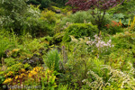 2189 Schottland, Skye, Dunvegan Castle, Gartenanlage