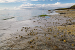 2264 Schottland, Skye, Nordkueste