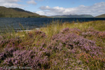 2378 Schottland, Skye, Loch Ainort