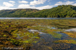 2521 Schottland, Skye, Eilean Donan Castle, Loch Duich