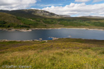2605 Schottland, Highlands, Loch Loine