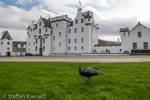 2630 Schottland, Highlands, Blair Castle