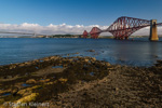 2779 Schottland, Edinburgh, Firth of Forth Bridge, morgens