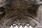 3139 Schottland, Galashiels, Melrose Abbey