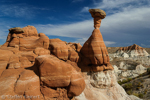 Toadstool Hoodoos, Rimrocks, Utah, USA 07