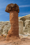 Toadstool Hoodoos, Rimrocks, Utah, USA 23