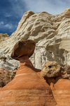 Toadstool Hoodoos, Rimrocks, Utah, USA 27