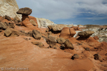 Toadstool Hoodoos, Rimrocks, Utah, USA 28