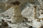 Toadstool Hoodoos, Rimrocks, Utah, USA 38