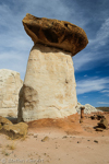 Toadstool Hoodoos, Rimrocks, Utah, USA 46