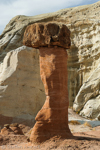 Toadstool Hoodoos, Rimrocks, Utah, USA 47