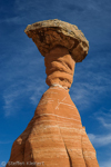 Toadstool Hoodoos, Rimrocks, Utah, USA 51