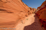 Water Holes Canyon, Arizona, USA 08