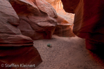 Water Holes Canyon, Arizona, USA 12