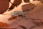 Water Holes Canyon, Arizona, USA 15