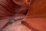 Water Holes Canyon, Arizona, USA 16