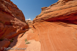 Water Holes Canyon, Arizona, USA 20